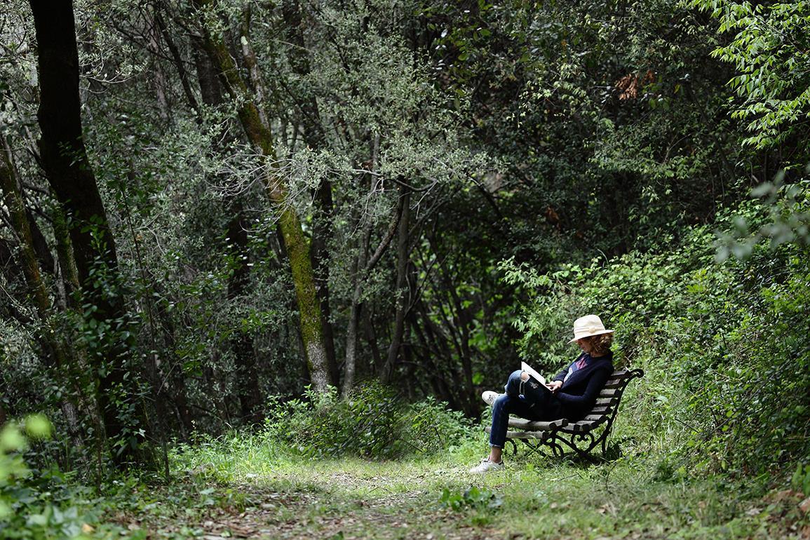 Can Barrina Montseny Exteriér fotografie